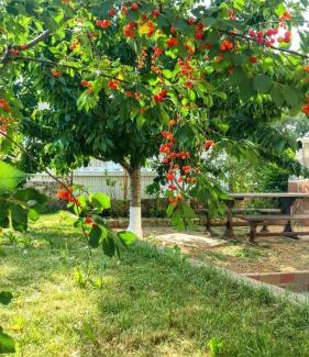 Marsici House | Apartman Dadić