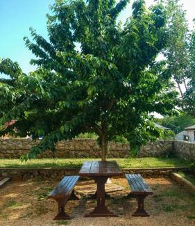 Marsici House | Apartman Dadić