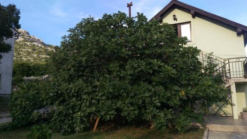 Karlobag Apartment | Apartman Dolac