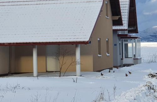 Canton 10 Apartment | Apartman Lena