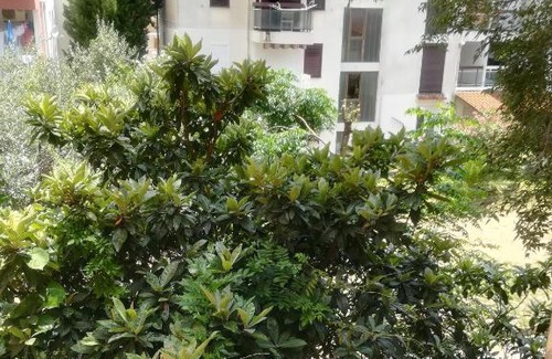 Dubovica Apartment | Apartman