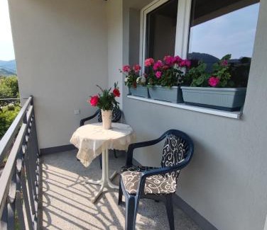 Zenica-Doboj Canton Apartment | Apartman Mir