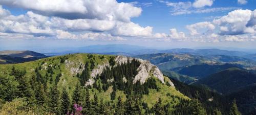 Lisina Apartment | Apartman N Lux 100 Milmari resort