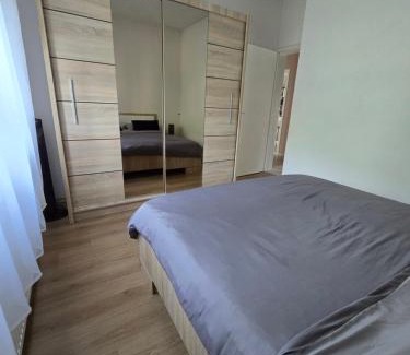 Mali Radic Apartment | Apartman Nia