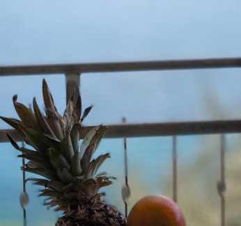 Stomorska Apartment | Apartman None