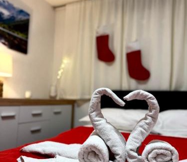 Delnice Apartment | Apartman Ružić