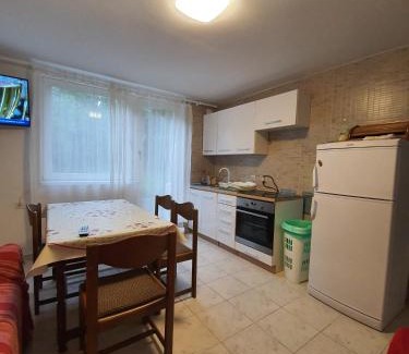 Delnice Apartment | Apartman Runolist