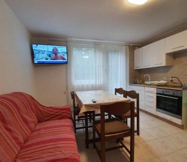 Delnice Apartment | Apartman Runolist