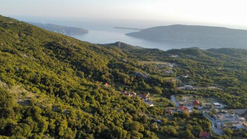 Herceg Novi Municipality Apartment | Apartman Vijalo
