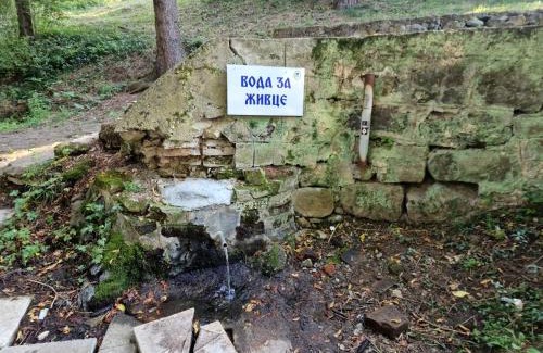 Bor House | Apartman za odmor Jovanović