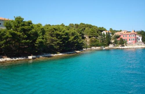 Molat Apartment | Apartmani Goga - Molat 6
