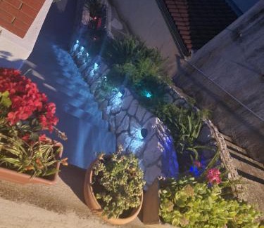 Zavala Apartment | Apartmani Kulić 25 metara od plaže br 2