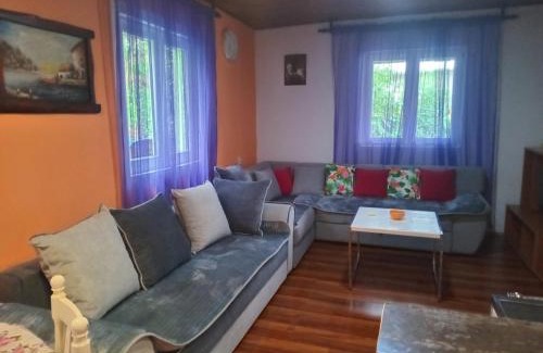 Pluzine Apartment | Apartmani Lazić