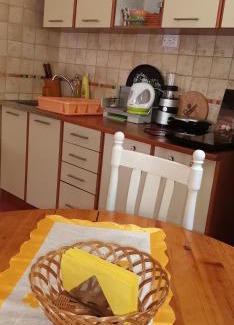 Pluzine Apartment | Apartmani Lazić