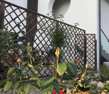 Punat Apartment | Apartmani Lesjak