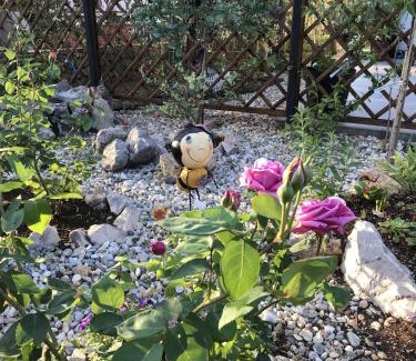 Punat Apartment | Apartmani Lesjak