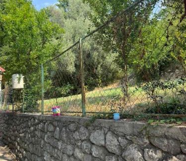 Zelenika House | Apartmani Lovorike