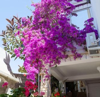 Zavalatica Apartment | Apartmani Marelic - Sun Beach
