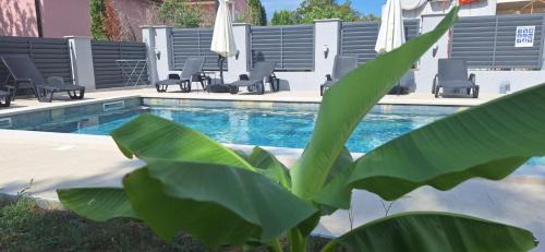 Strmac Apartment | Apartmani Stefano