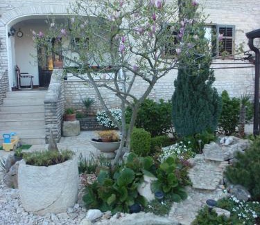 Mali Maj Apartment | Apartmani Villa Otilija