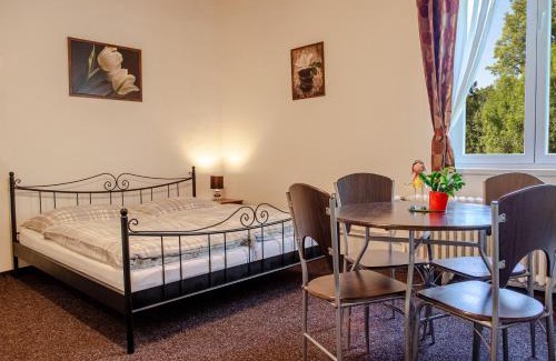 Novy Smokovec Apartment | Apartmany PAVILON D - Budget, Classic, Family - Novy Smokovec - High Tatras