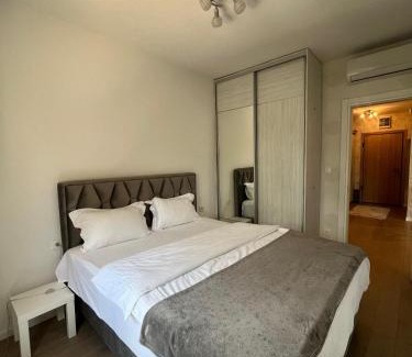 Tomicici Apartment | Apartmen Sofia