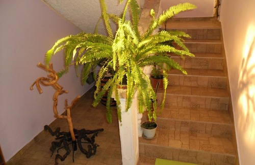 Bilice Apartment | Apartmens Zara