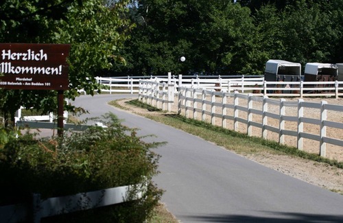 Ralswiek Apartment | Apartment. 12 - Horse Rally Ralswiek