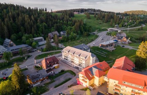 Feldberg Apartment | Apartment 302