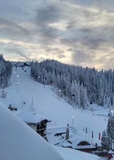 Jahorina Apartment | Apartment 533 in Aparthotel Vucko Jahorina - Private host