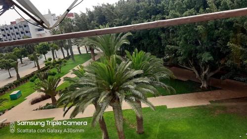 Agadir City Center Apartment | Apartment 5min from the beach