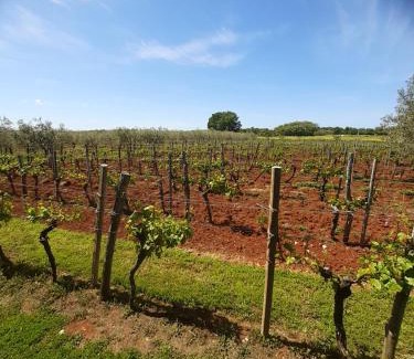 Lanterna Apartment | Apartment and Rooms Hacienda Stelio
