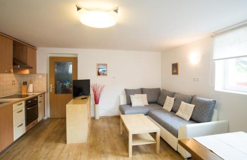 Zasip Apartment | Apartment Ani