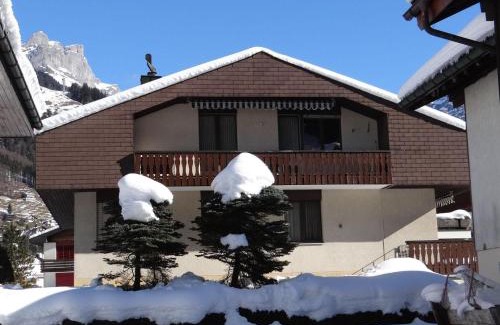 Engelberg Apartment | Apartment Birkenstrasse 70-1 by Interhome