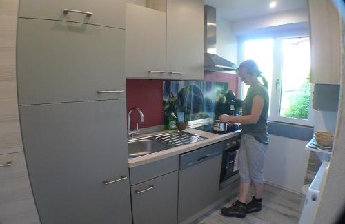 Saalbach-Hinterglemm Apartment | Apartment Edith Top 1