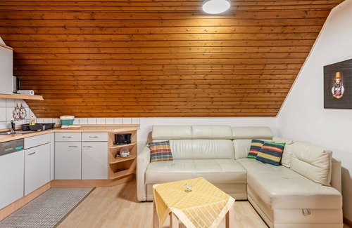 Todtnau Apartment | Apartment 'Erle' with Mountain View, Shared Terrace and Wi-Fi