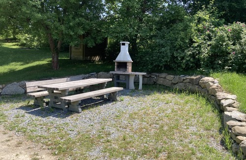 Falkenstein Apartment | Apartment 'Fewo Mit Terrasse - Gerne Mit Hunde' with Mountain View, Private Terrace and Wi-Fi