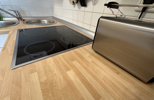 Falkenstein Apartment | Apartment 'Fewo Toller Kamin - Gerne Mit Hunde' with Mountain View, Private Terrace and Wi-Fi