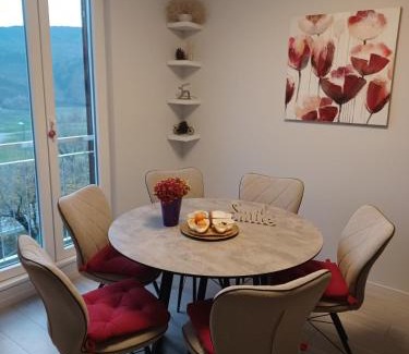 Buzet Apartment | Apartment Fontana