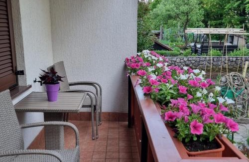 Lokve Apartment | APARTMENT GORDANA A4+2 FOR 6 PAX NATURE PARK