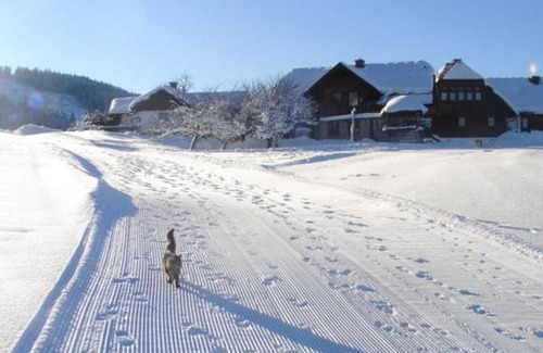 Gossenberg Apartment | Apartment Grimming - 4 bedrooms, bathroom, WC - Hirzhof