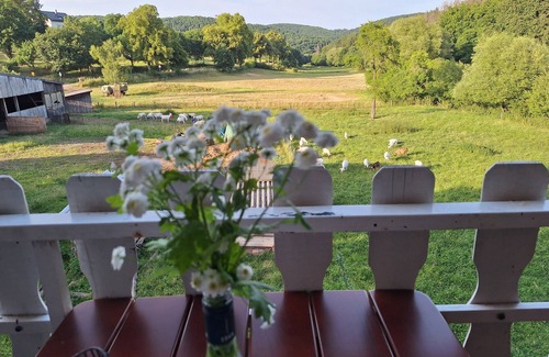 Bad Muenstereifel Apartment | Apartment "Heidi" 1st floor with fantastic valley view: KOLVENBACHER ZIEGENHOF