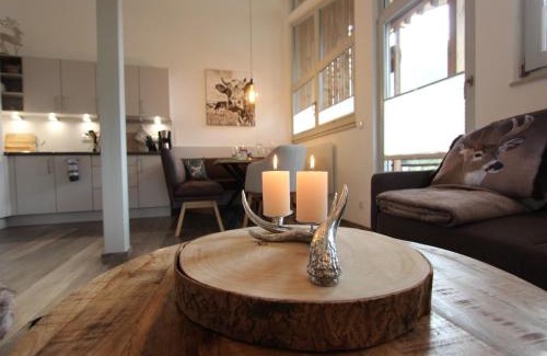 Kirchdorf in Tirol Apartment | Apartment in Kirchdorf near Ski Slopes