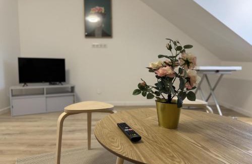 Maillets - Bellevue Apartment | Apartment in Le Mans near Historic Center