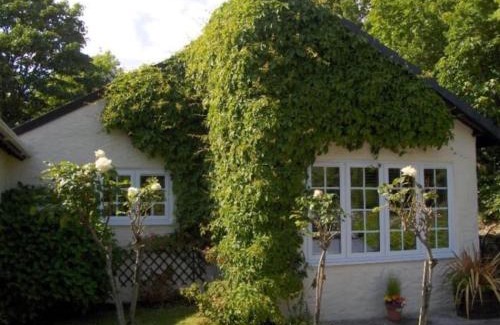St. Mawgan Apartment | Apartment in lovely village
