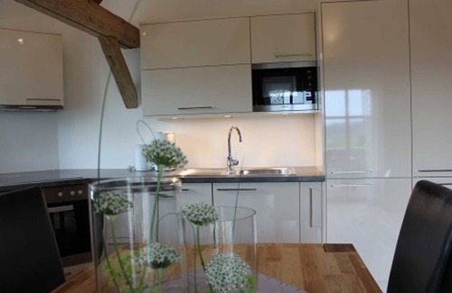 Freiamt Apartment | Apartment in the Brennhaus - Apartment about 70sqm for max. 4 people
