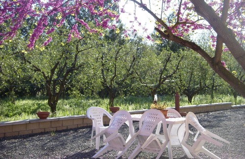 Bibbona Apartment | Apartment in the heart of Tuscany