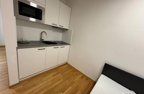 Schoeneberg Apartment | Apartment Innsbrucker Platz 2