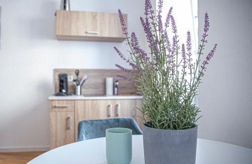 Merl Apartment | Apartment Kabinett Zell