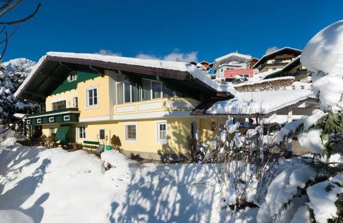 Muehlbach Am Hochkoenig Apartment | Apartment Lausbuam